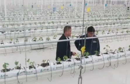 安徽：科技特派員“沉下去” 鄉(xiāng)村產(chǎn)業(yè)盡顯“科技范”