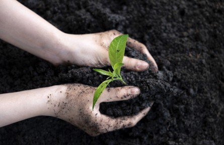 科技名詞 | 土壤熟化 anthropogenic mellowing of soil