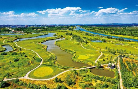 山東濟(jì)寧“3個(gè)三”模式擦亮國(guó)際濕地城市名片