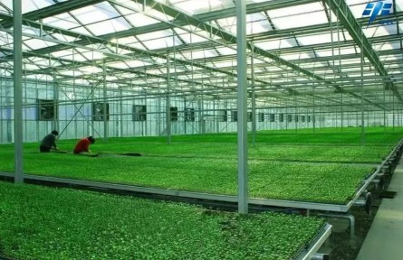 航天育種溫室，了解一下