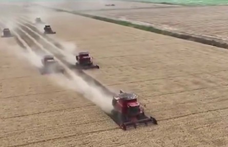 【在希望的田野上】“三夏”大規(guī)模小麥機(jī)收全面展開(kāi)