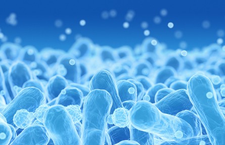 ?科技名詞 | 大腸菌群  Coliform