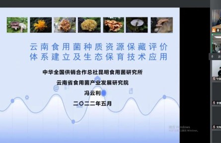中華全國供銷合作總社昆明食用菌研究所“云南食用菌種質(zhì)資源收集保存、鑒定評(píng)價(jià)和生態(tài)促繁技術(shù)應(yīng)用”成果評(píng)價(jià)公告【2022（47號(hào)）】
