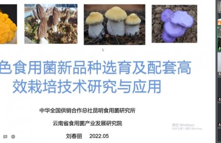 中華全國供銷合作總社昆明食用菌研究所“特色食用菌新品種選育及配套高效栽培技術(shù)創(chuàng)新與產(chǎn)業(yè)化應(yīng)用”成果評(píng)價(jià)公告【2022（48號(hào)）】