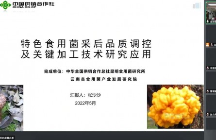中華全國供銷合作總社昆明食用菌研究所“特色食用菌采后品質(zhì)調(diào)控及關(guān)鍵加工技術(shù)推廣應(yīng)用”成果評(píng)價(jià)公告【2022（50號(hào)）】