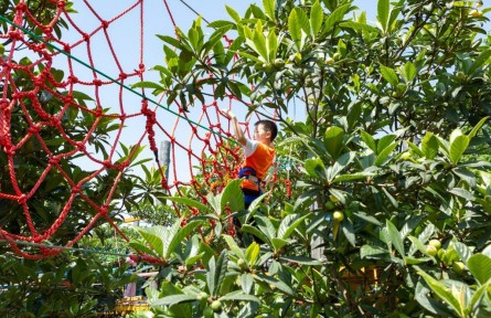 有“顏值”，更有“產(chǎn)值”——浙江杭州臨平美麗鄉(xiāng)村走訪見聞