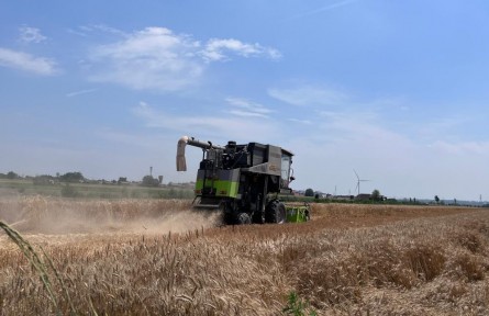 開心、安心、放心——山西小麥主產(chǎn)區(qū)夏收見聞