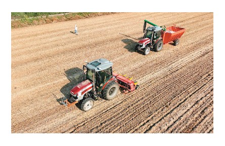 擴(kuò)大豆，中國持續(xù)提升自給率