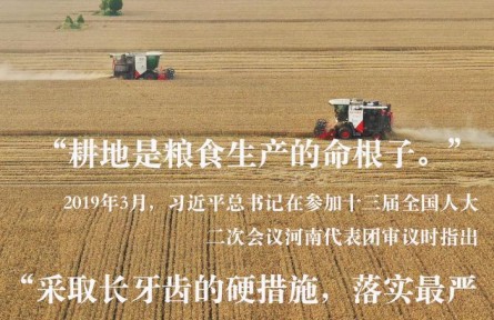習(xí)近平總書記關(guān)切事|藏糧于地、藏糧于技，筑牢豐收之基