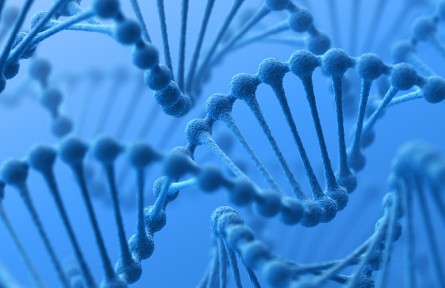 科技名詞 | 酵母人工染色體 yeast artificial chromosome，YAC