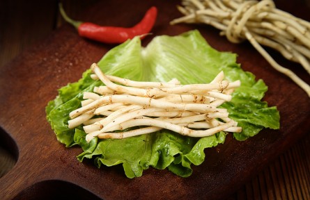 魚(yú)腥草是“害人草”含有一級(jí)致癌物？來(lái)看真相