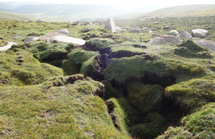 科普 | 青藏高原的凍土化了怎么辦？