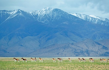 以美麗中國建設(shè)全面推進人與自然和諧共生的現(xiàn)代化