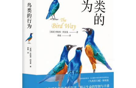 妙趣橫生的鳥類私生活，顛覆你的傳統(tǒng)認知