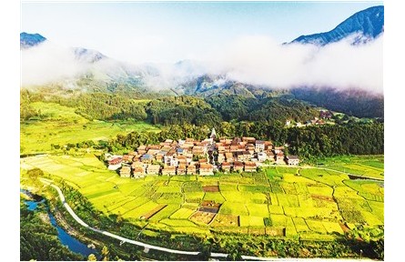 確保水稻生產(chǎn)安全 國內(nèi)大米供應(yīng)有足夠保障