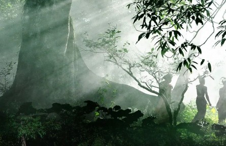 “普洱景邁山古茶林文化景觀”申遺成功！9個(gè)關(guān)鍵詞揭開(kāi)這片千年萬(wàn)畝古茶林的面紗