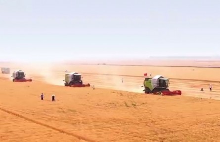 看河南如何“智”取田間，“種”出豐收！