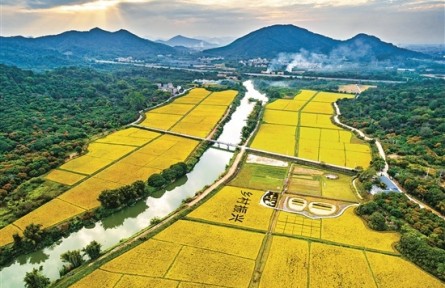 廣東廣州：慶祝農民豐收節(jié)主會場活動9月22日開幕