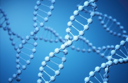 科技名詞 | 分子伴侶  Chaperone，Molecular chaperone