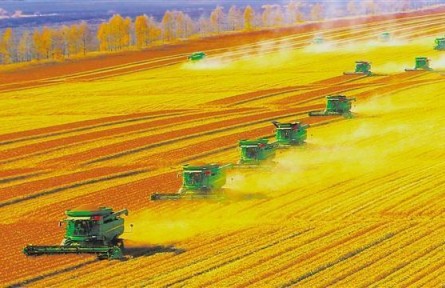 北大荒，了不起