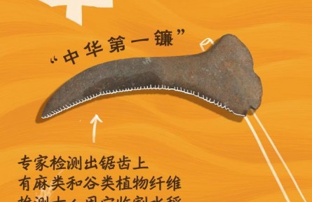 從“鏟鏟盤盤”中，一窺8000年前的豐收?qǐng)D景