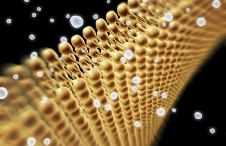 科技名詞 | 離子交換層析 ion exchange chromatography，IEC