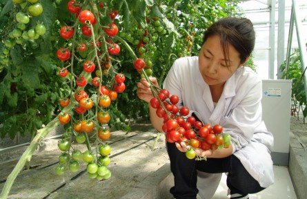 豐收季，來看這個國家農(nóng)業(yè)科技園區(qū)的“黑科技”