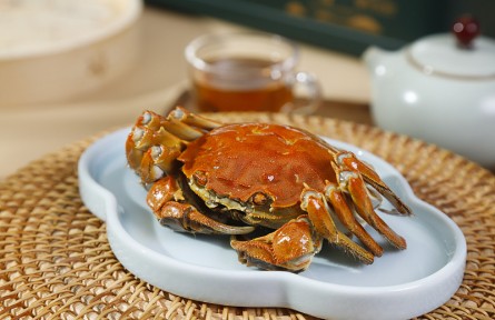 螃蟹肥美正當(dāng)時(shí) 正確食用有講究