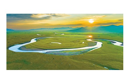 科普 | 為什么大草原上樹很少？