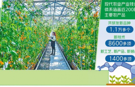 產(chǎn)業(yè)技術體系有力支撐農(nóng)業(yè)現(xiàn)代化