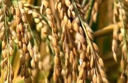 270億、200余億、15億，通過(guò)數(shù)據(jù)看經(jīng)濟(jì)……