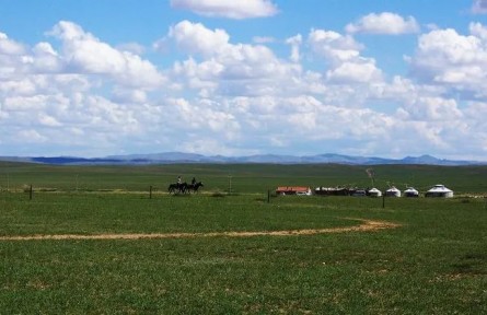 種薯、種羊暢銷全國(guó)！四子王旗草原綠色發(fā)展后勁足