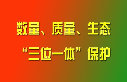 習(xí)近平論強化耕地數(shù)量、質(zhì)量、生態(tài)“三位一體”保護