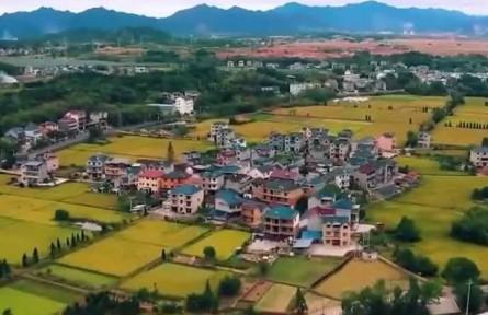 【權(quán)威訪談】我國全年糧食產(chǎn)量有望再創(chuàng)歷史新高