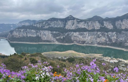 促進農(nóng)業(yè)高質高效 推動鄉(xiāng)村全面振興——我國加快建設宜居宜業(yè)和美鄉(xiāng)村