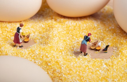 科技名詞 | 熱增耗  heat increment，HI