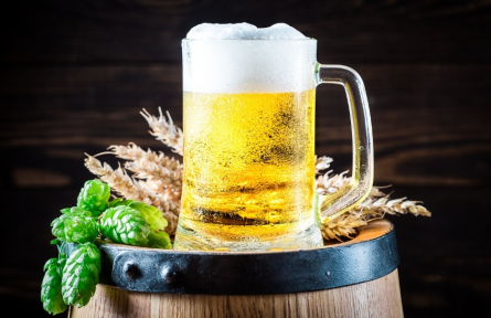 地球再熱下去，我們可能連啤酒也喝不到了？