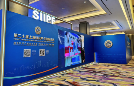 數(shù)據(jù)產(chǎn)權(quán)如何保護(hù)？國家知識產(chǎn)權(quán)局相關(guān)負(fù)責(zé)人提了幾個重點