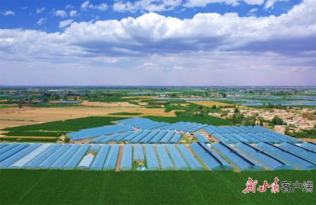 甘肅武威：黨建引領(lǐng)推動村級集體經(jīng)濟(jì)增量提質(zhì)