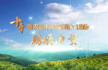 十年，看農(nóng)業(yè)科技創(chuàng)新工程的磅礴力量