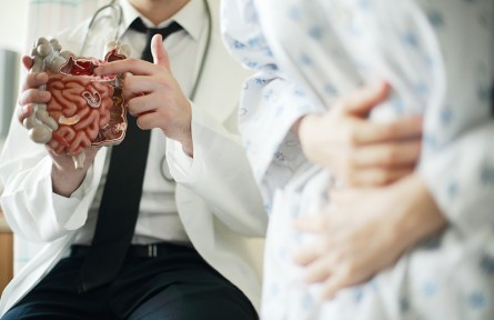 科技名詞|消化系統(tǒng) alimentary system，digestive apparatus