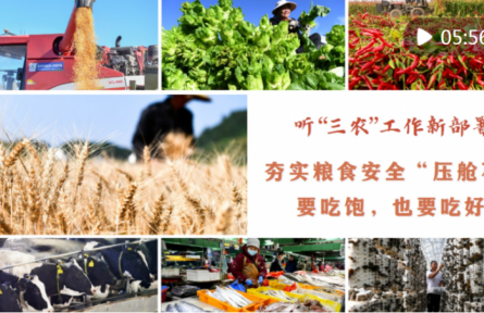 聽“三農(nóng)”工作新部署｜夯實糧食安全“壓艙石”：要吃飽，也要吃好