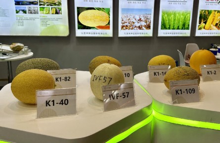 第三屆三亞國(guó)際種業(yè)科技博覽會(huì)：新品種、新技術(shù)、新設(shè)備展現(xiàn)種業(yè)科技新成果
