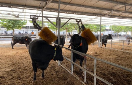 山東“土特產(chǎn)”，為啥能端上全球餐桌