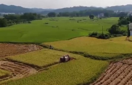 我國農業(yè)種質資源家底全面摸清