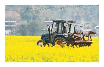 一號(hào)文件，繪就鄉(xiāng)村全面振興“路線圖”