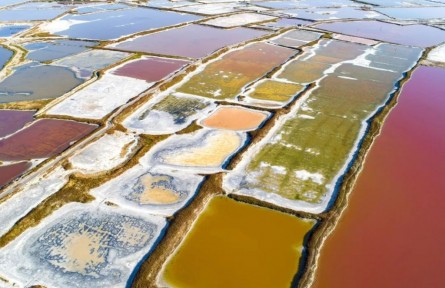 以鹽為媒，群方“咸”遂：鹽為什么被稱為“鹽巴”？