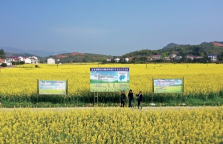 綠色種養(yǎng)循環(huán)農業(yè)試點取得積極進展