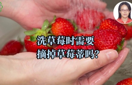 洗草莓時需要摘草莓蒂嗎？