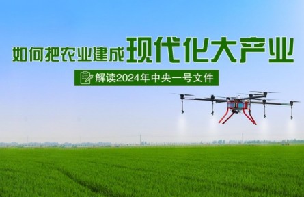 專家快問快答：如何把農(nóng)業(yè)建成現(xiàn)代化大產(chǎn)業(yè)？